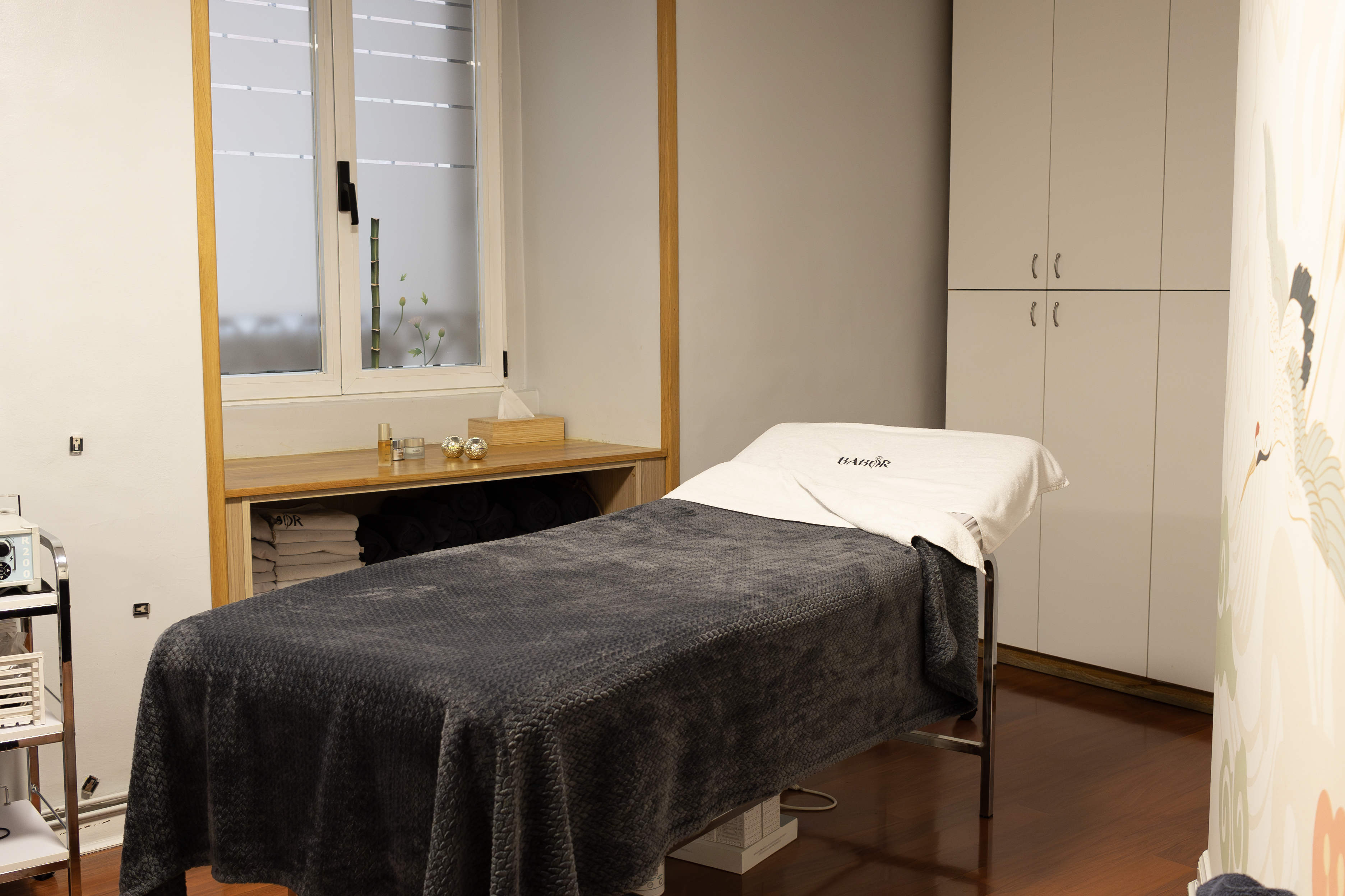 Depilación Laser|Vitoria